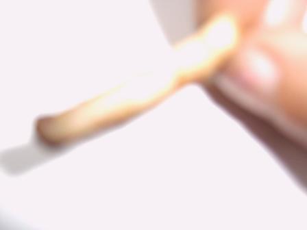 sgdh H�ffner M�bel Steak Service